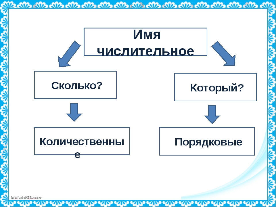 Имя числительное картинки